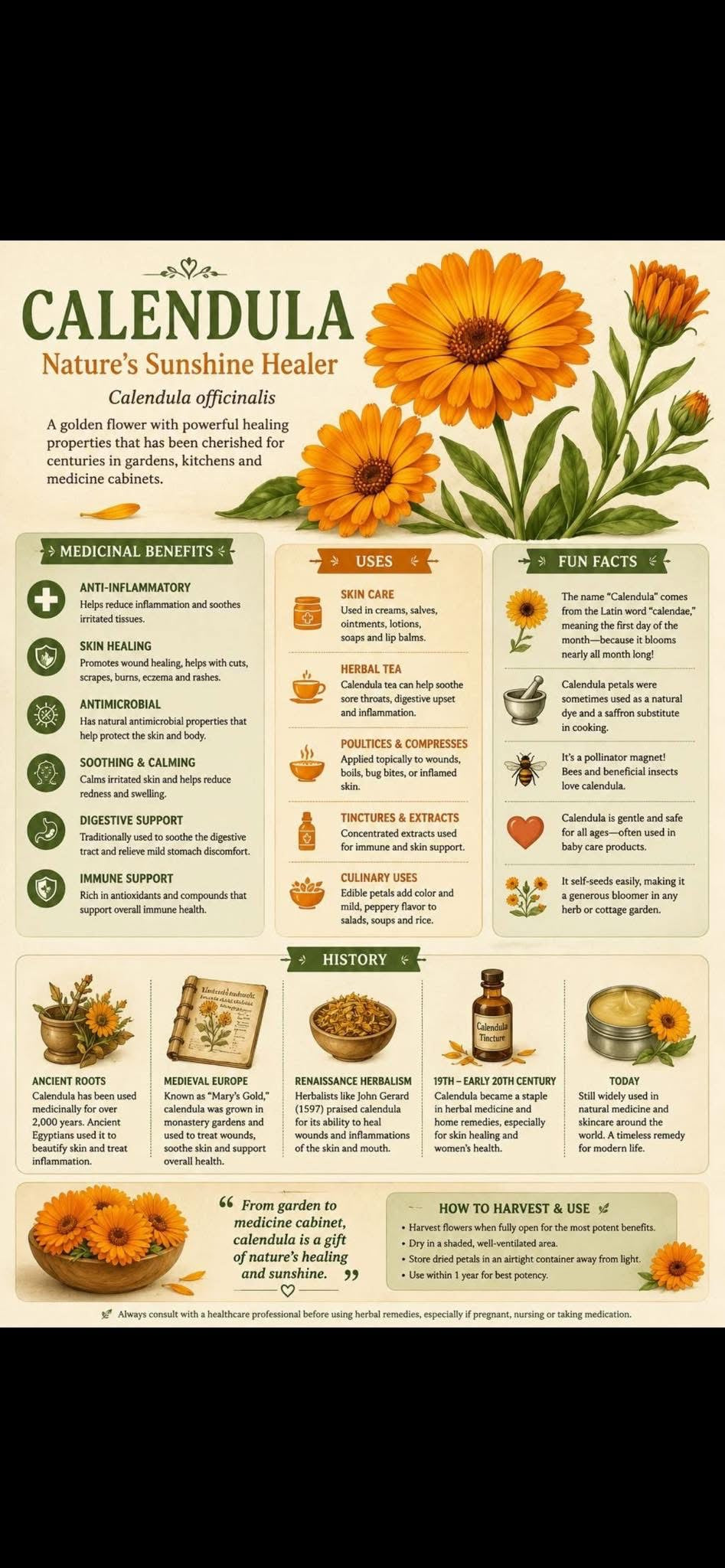 Calendula Salve